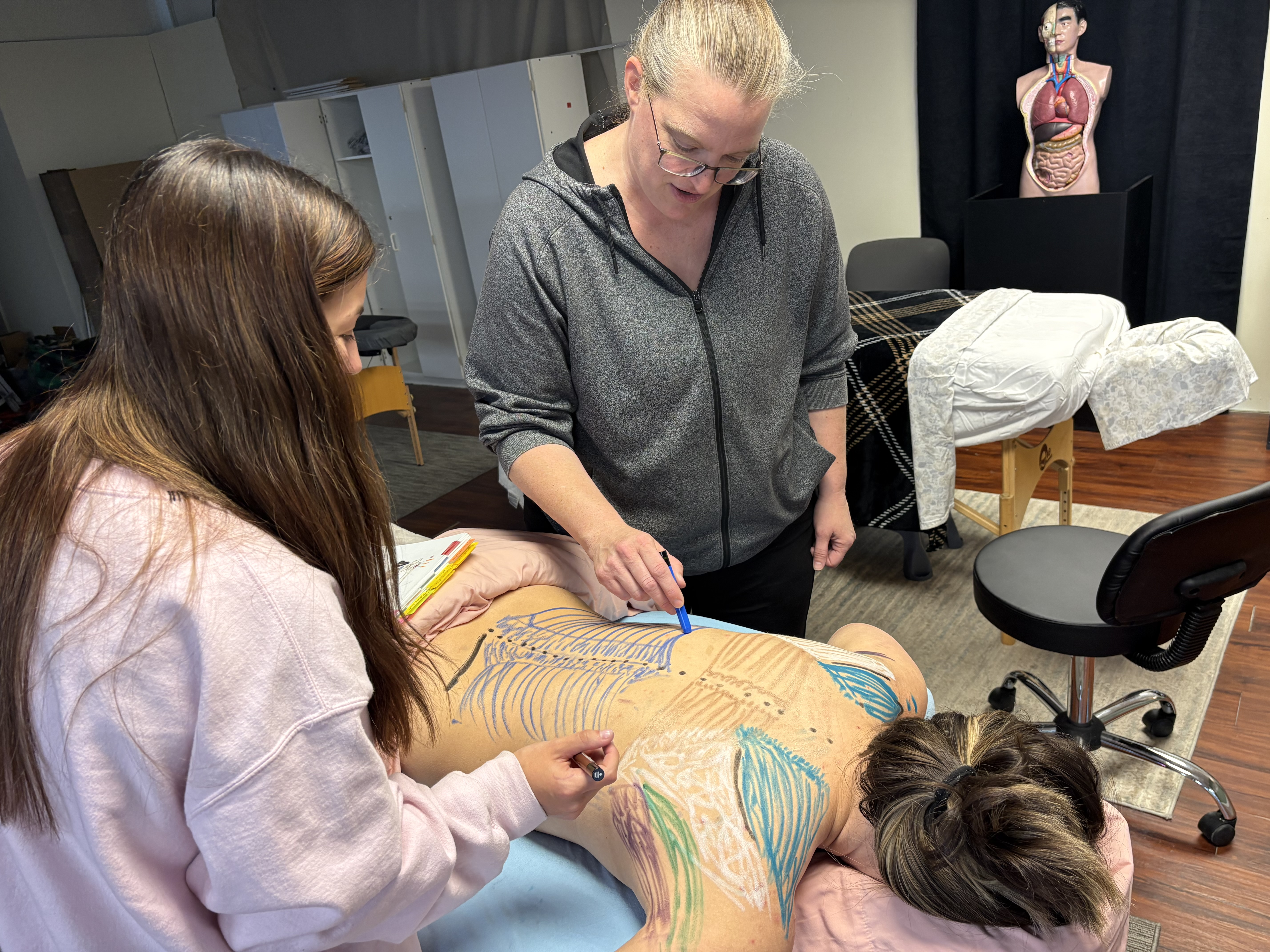 Student coloring anatomical diagrams